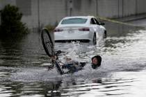 A cyclist falls while trying to ride through floodwaters near a stranded car along a flooded st ...